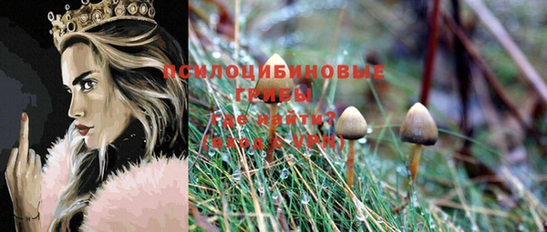 бутират Дегтярск