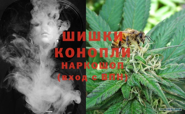 спайс Сосновка