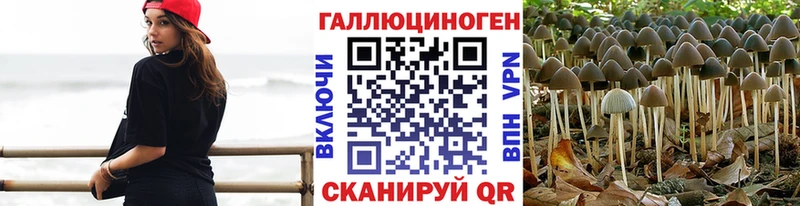 Псилоцибиновые грибы GOLDEN TEACHER  Верхотурье 